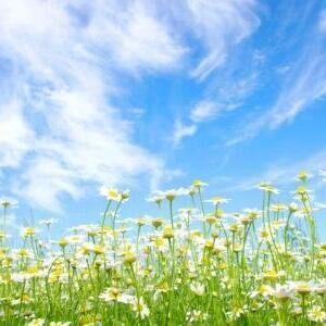 Github Sdadudu Mechanisms Mods - 8K Vintage Patterns for Desktop