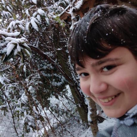 Elvenmage Emin Github - Modern Landscape Illustration - 8K