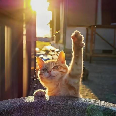 Zachary Zs Zachary Github - Premium Nature Photo Gallery - HD