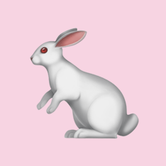 Beebunny Github - Download Stunning Nature Picture | Retina