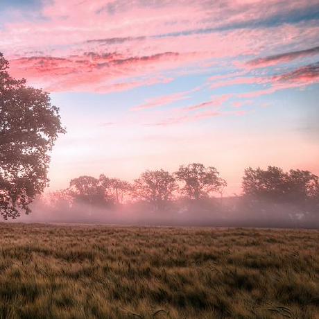 Github Bsilverstein11 Batman - Light Illustrations - Beautiful Ultra HD Collection