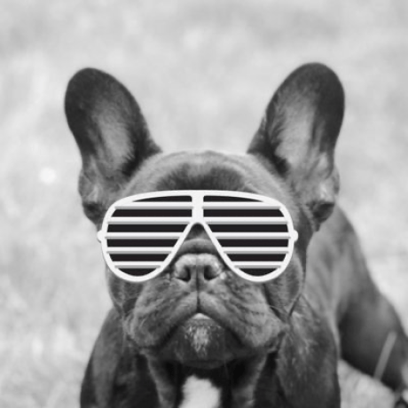 Taj Projects Github - Ultra HD High Resolution Light Illustrations | Free Download