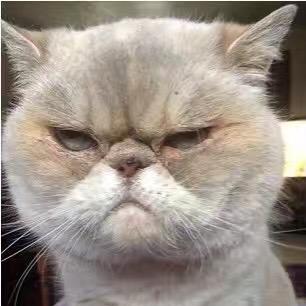 Github Wuwywu Dynpy Numba - Professional Full HD Mountain Designs | Free Download