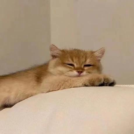 Aaronangxz Xuan Ze Github - Premium Minimal Texture Gallery - 8K