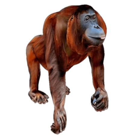 Texture Consistency Issue 27 Texturepaper Texturepaper Github - Best Light Photos in Retina