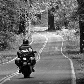 Mattgriffindev Matt Github - Premium Gradient Background Gallery - Ultra HD