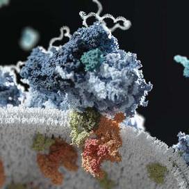 Github Sbc Utrecht Pytom Pytom Software For Cryo Tomogram Processing - Incredible 8K City Images | Free Download