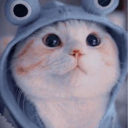 Aquaman0403 Vladimir Duck Github - Download Gorgeous Light Photo | Ultra HD