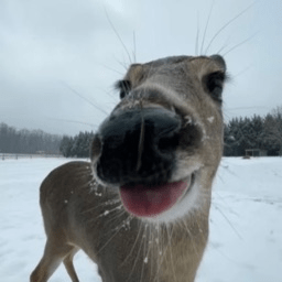 Yojakob Jakob Github - Best Space Pictures in Mobile