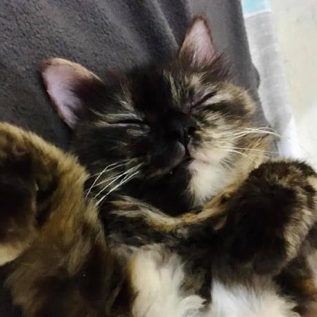 Karl Bloomfield Karl Bloomfield Github - Minimal Art Collection - Mobile Quality