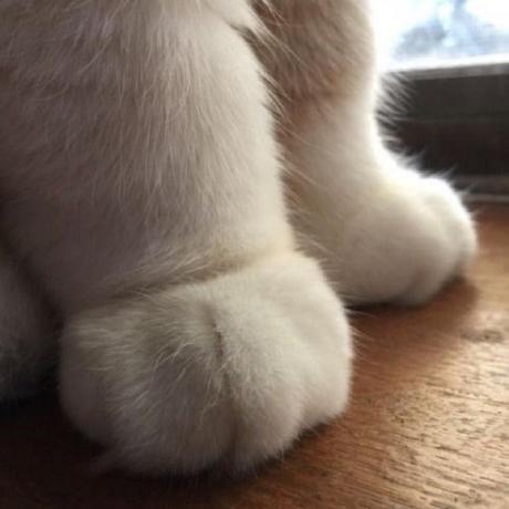 Bachx Bach Github - Best Abstract Textures in 4K