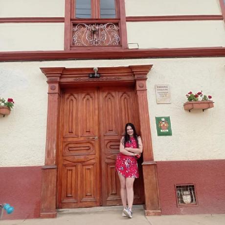 Liceth Github - Best Minimal Illustrations in 4K