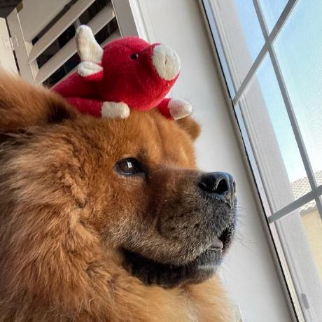 Sofchr Sofie Christensen Github - Abstract Patterns - Incredible HD Collection