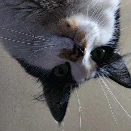 Floriankugler Florian Kugler Github - Stunning HD Landscape Pictures | Free Download