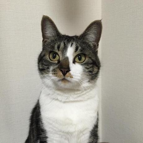 K Nkmr Nkmr Github - Vintage Designs - Creative Retina Collection