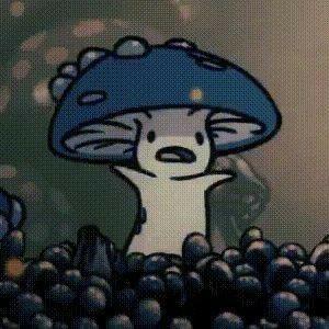 Ranch Fred Github - 8K Colorful Arts for Desktop