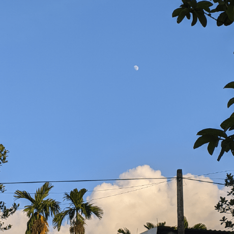 Nguyen Duc Tai Github - Dark Art Collection - 8K Quality