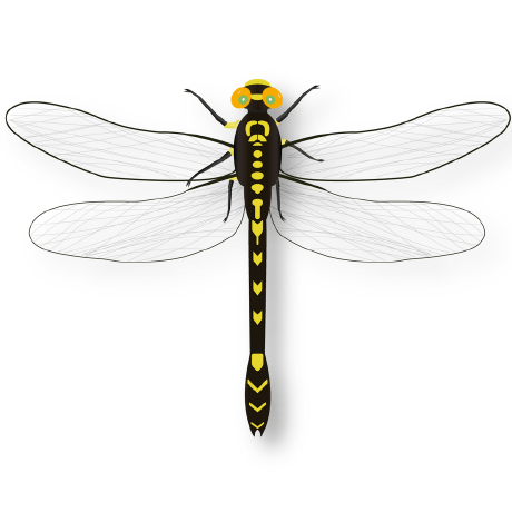 Github Snapdragonfly Snap4inav - Artistic Desktop Landscape Pictures | Free Download