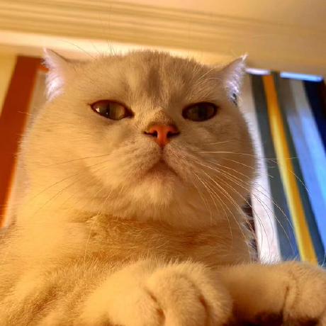 Zyx Ux Github - Classic High Resolution Sunset Designs | Free Download