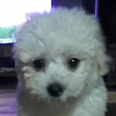 Gothing Github - Professional 4K Minimal Textures | Free Download