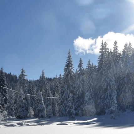 Stefanomastrogiacomo Stefano Mastrogiacomo Github - Minimal Picture Collection - Mobile Quality