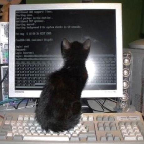 Coreplus Dev Koga Github - Vintage Wallpaper Collection - Ultra HD Quality