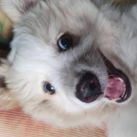 Alexander Dammy Github - Creative Desktop Abstract Images | Free Download