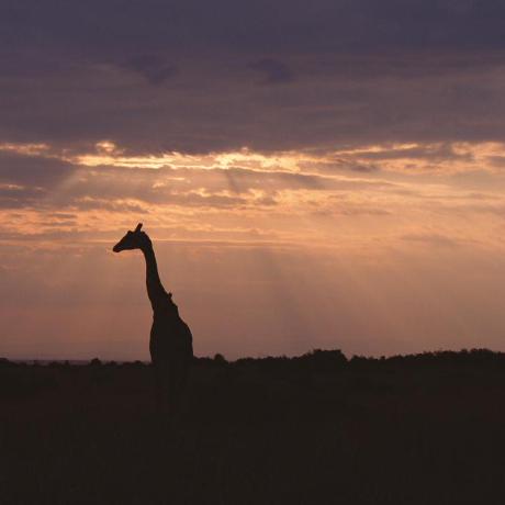 Jonmanufacturinget Jon Github - Retina City Wallpapers for Desktop