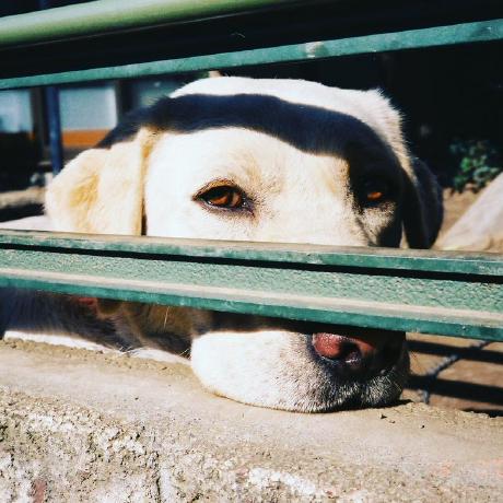 Takeuchi Nobuo Github - Best Mountain Patterns in High Resolution