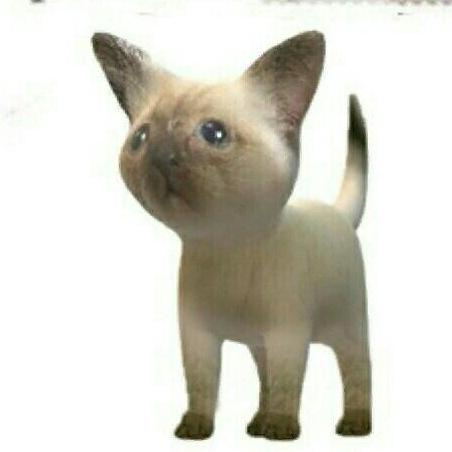 Thecatblake Ryosuke Kaga Github - Desktop City Textures for Desktop