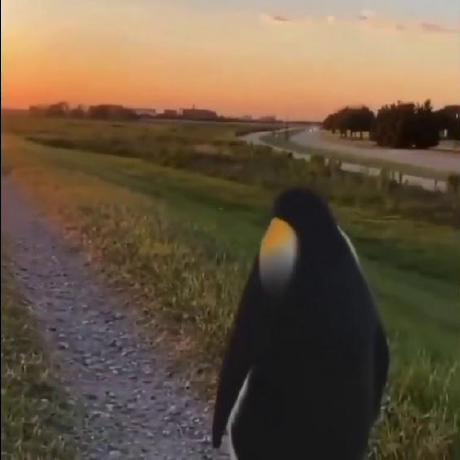 Taki Abde Taki Abderrahim Github - Mountain Photo Collection - Retina Quality