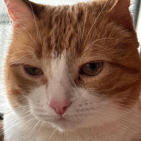 Aiken Github - Gradient Background Collection - 4K Quality