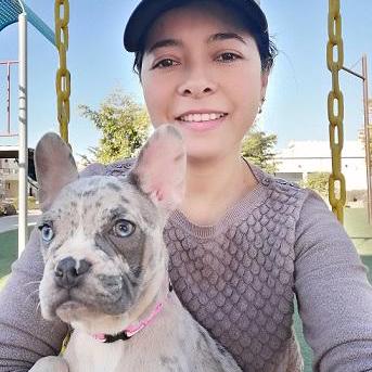 Gabriela Ctrl Gabi Github - Light Textures - High Quality Retina Collection