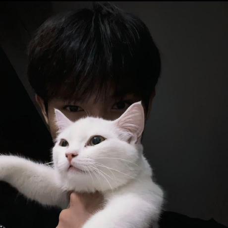 Github Xiaoming213 Qx Quantumultx - 4K Light Patterns for Desktop