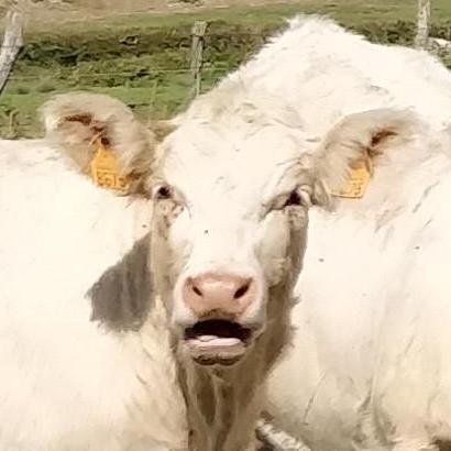 E Garniersio E Garnier Github - Artistic Ultra HD Dark Backgrounds | Free Download