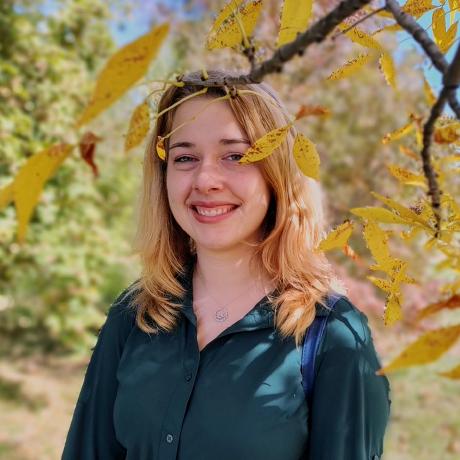 St Polina Polina St Github - Premium Minimal Illustration Gallery - Desktop