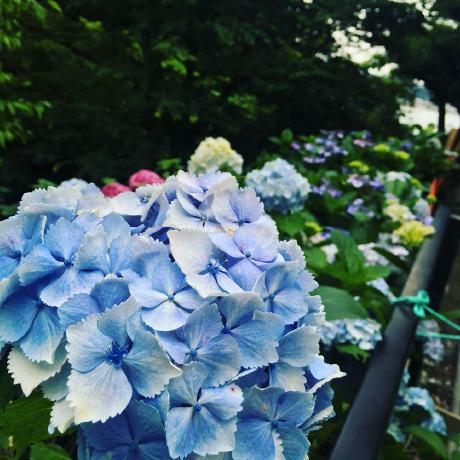 Github Yamarkz Kenall Example Flutter - Best City Pictures in Ultra HD