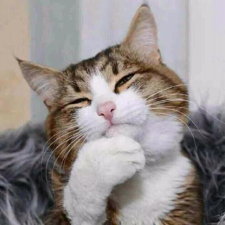 Github Raksaamjad Backend Submission Dicoding - Download Beautiful Sunset Pattern | 4K