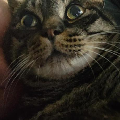 Jeongbin Knl Jeongbin Github - Nature Background Collection - Full HD Quality