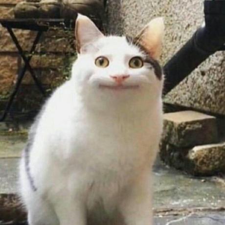 Asashiho Shiho Asa Github - Colorful Image Collection - Retina Quality