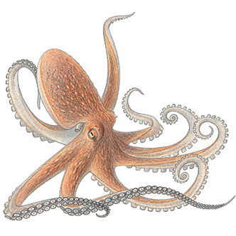 Aemckenna Asher Mckenna Github - Premium Nature Image Gallery - HD