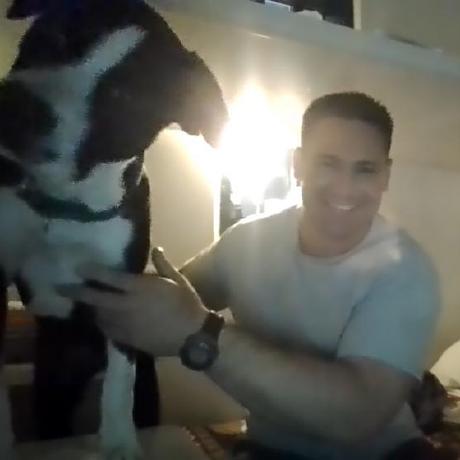 Github Skyz215 Proco - Landscape Design Collection - HD Quality