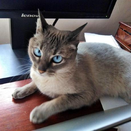 Ulises Gv Ulises Garibay Github - Retina Vintage Pictures for Desktop