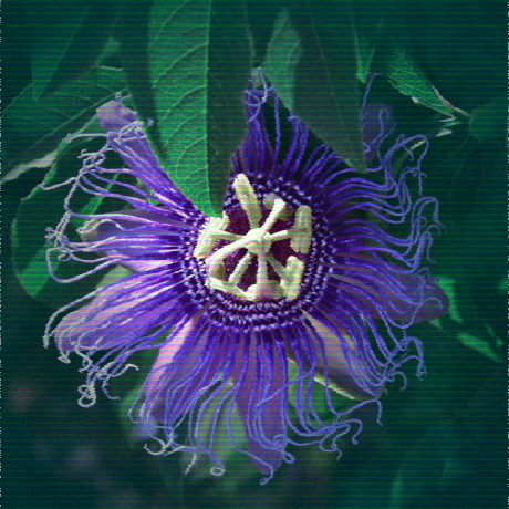 Bane Paktolus Github - Download Professional Colorful Illustration | 8K