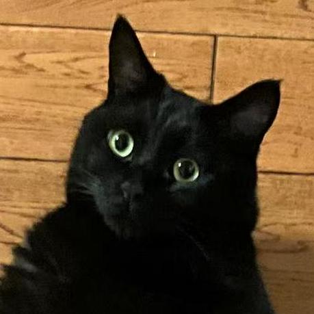 Mingyisu Mingyi Su - Download Creative Vintage Wallpaper | Mobile