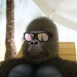 Vibezrezz Virez Github - Dark Images - Professional HD Collection