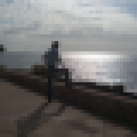 Github Stamatak Standard Raxml - Premium HD Vintage Backgrounds | Free Download