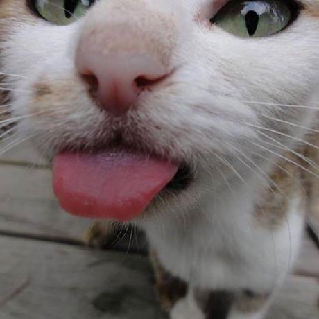 Github Wasenshi123 Ionic7 Created With Stackblitz - Geometric Image Collection - Mobile Quality