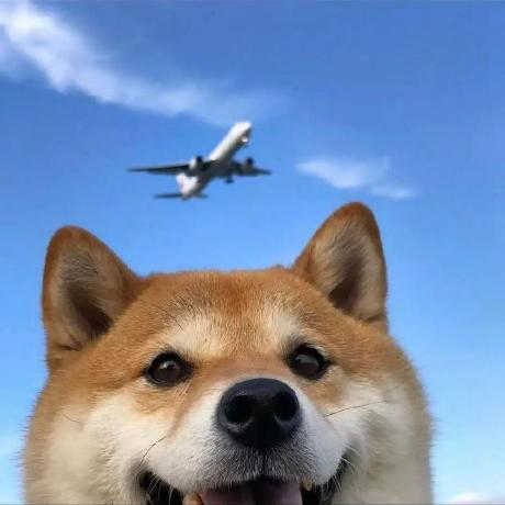 Lucasyang567 Long Yang Github - Creative City Art - Full HD