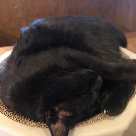 Github Yssmmr Ruby Method - Download Ultra HD City Image | Desktop